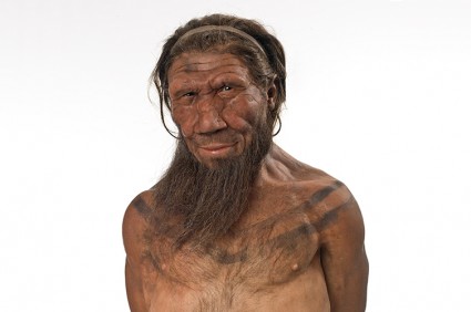neanderthal-model-on-white-two-column.jpg