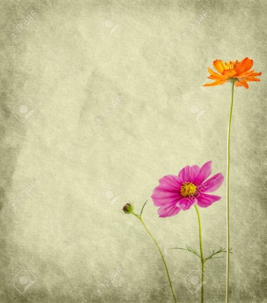 10352746-Close-Up-flower-on-Paper-Texture-Stock-Photo-flower-book.jpg