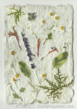 paper-pulp-with-embedded-flowers-and-leaves_thumb.jpg