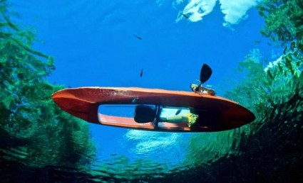 coconut-reef-glass-bottom.jpg