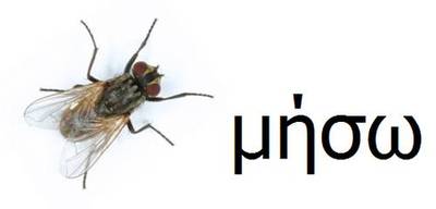 mygamhsw.jpg
