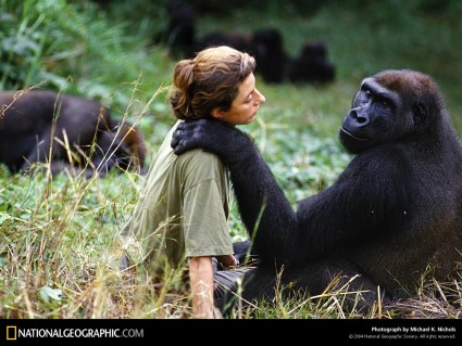 National-Geographic-Wallpaper-25BC.jpg
