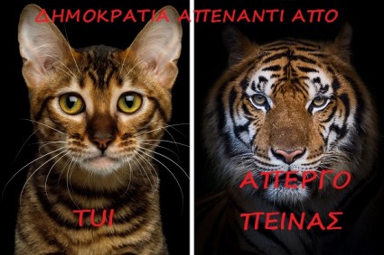 η δημοκρατια Η ΚΟΤΑ.jpg
